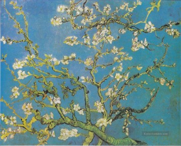  blumen - Zweige mit Mandelblüte 2 Vincent van Gogh impressionistische Blumen